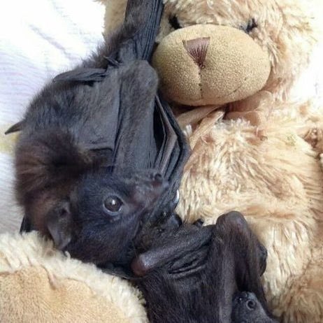 ⋆.·★ ℱₗₒᵣₐ ★·.⋆ tweet media