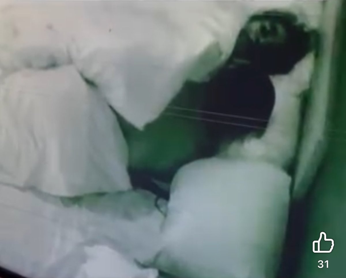 milah1023 tweet media