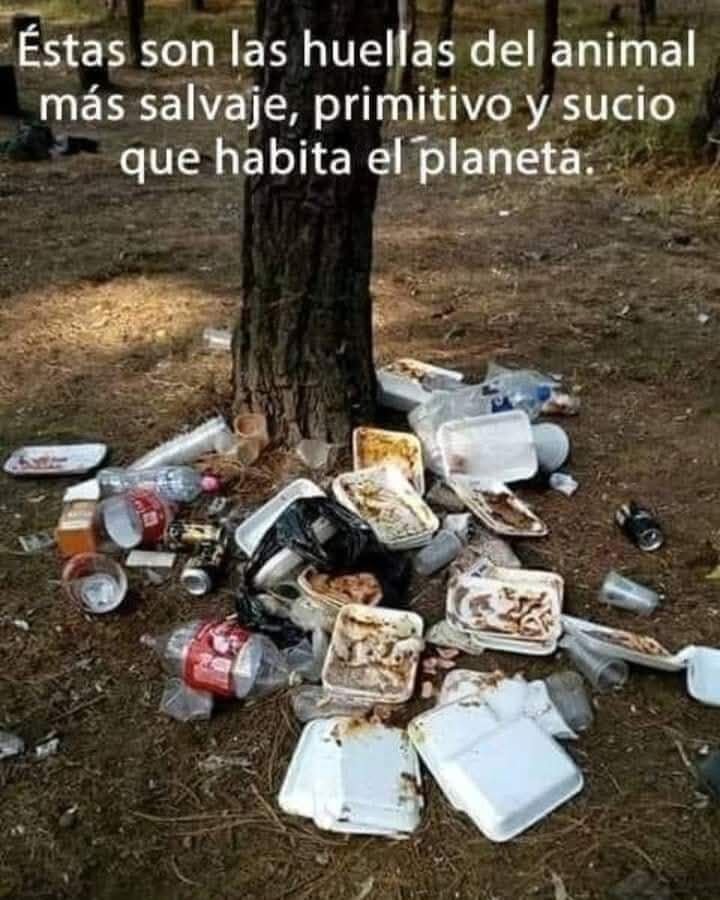 Marco A. Lopez tweet media