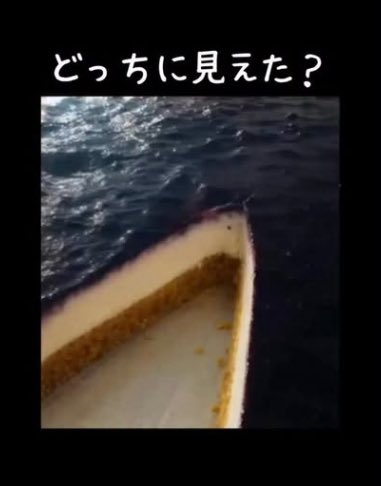 どく姉 tweet media