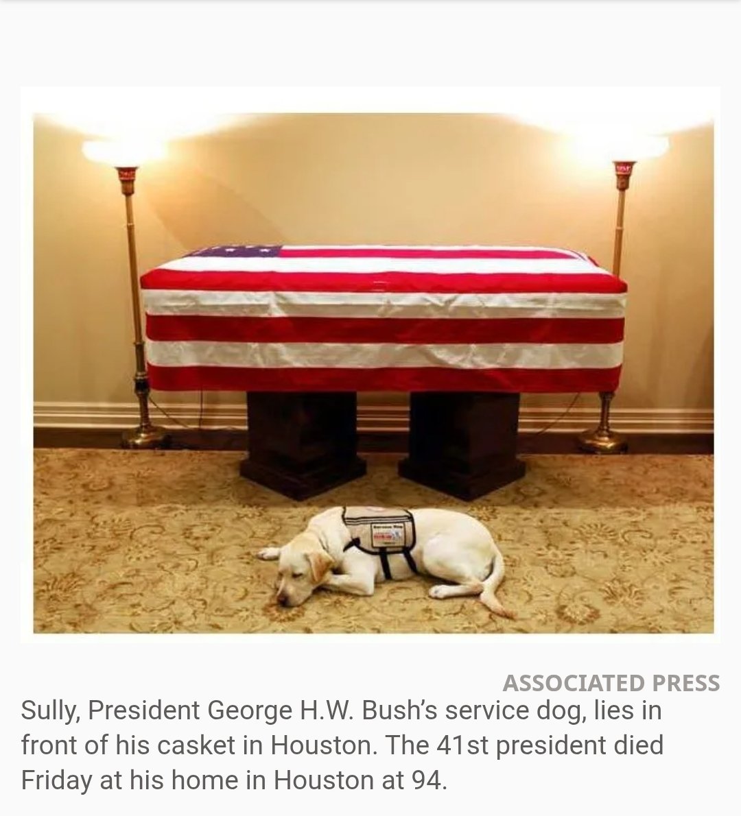 Michael 🏝👣🌊☀️ tweet media