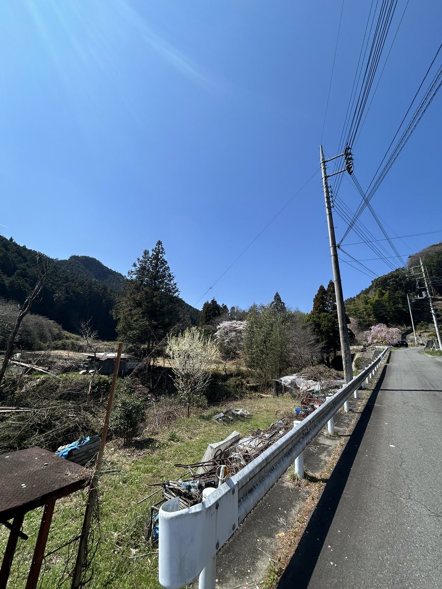 モルガナ tweet media