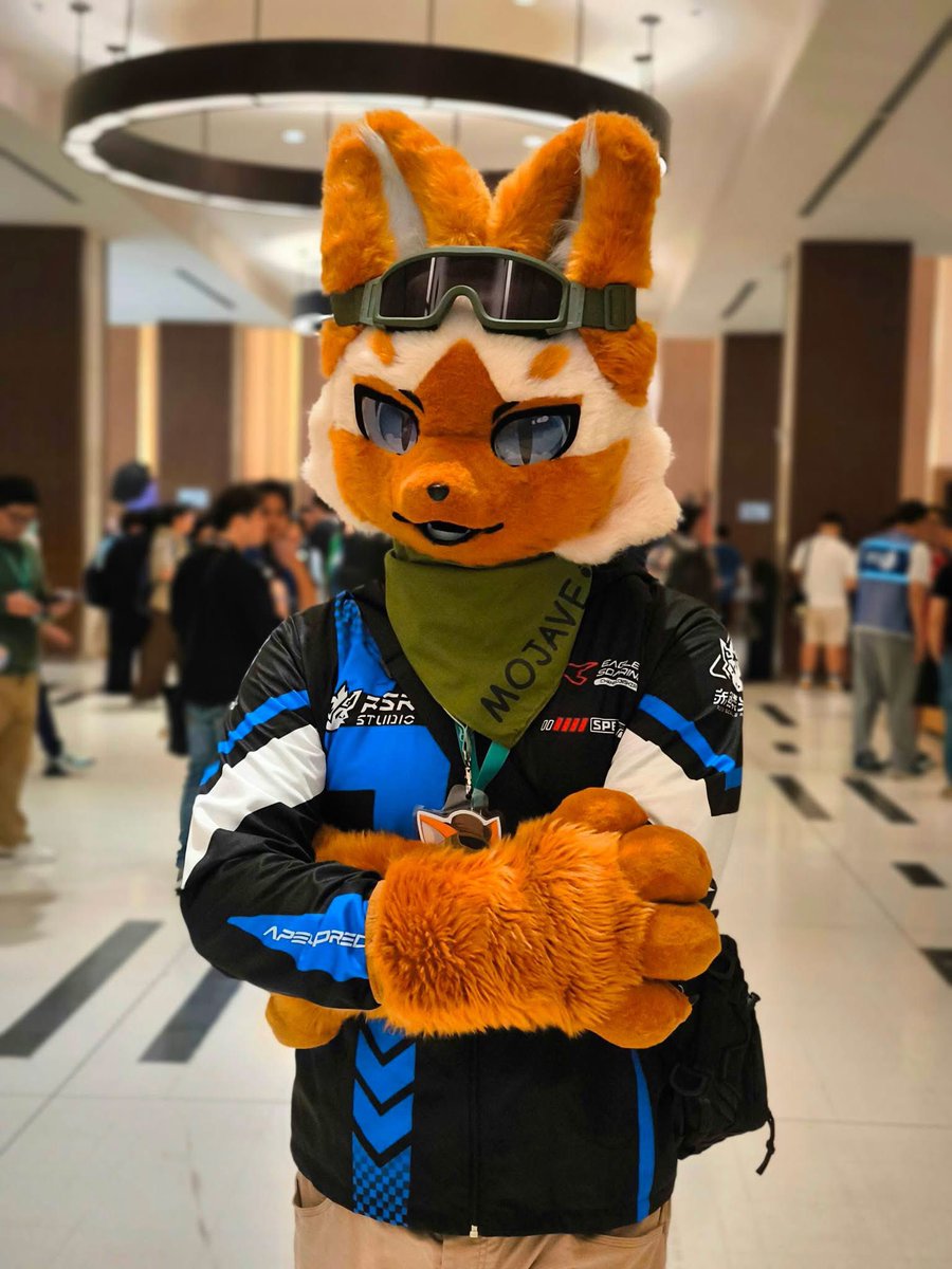 MOJAVE The Fennec 🔜 Hi-Furry 🇨🇳 tweet media