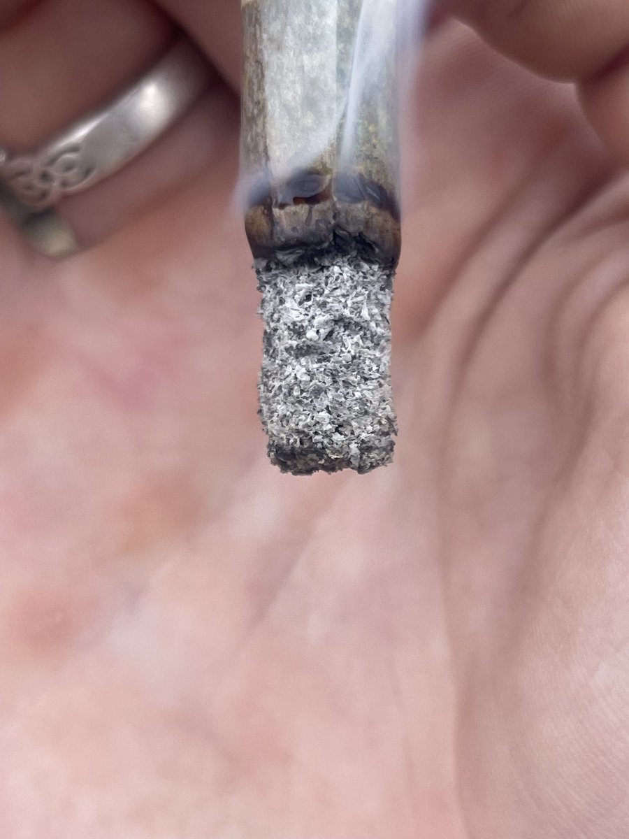 The Lazy Eye Weed Guy tweet media