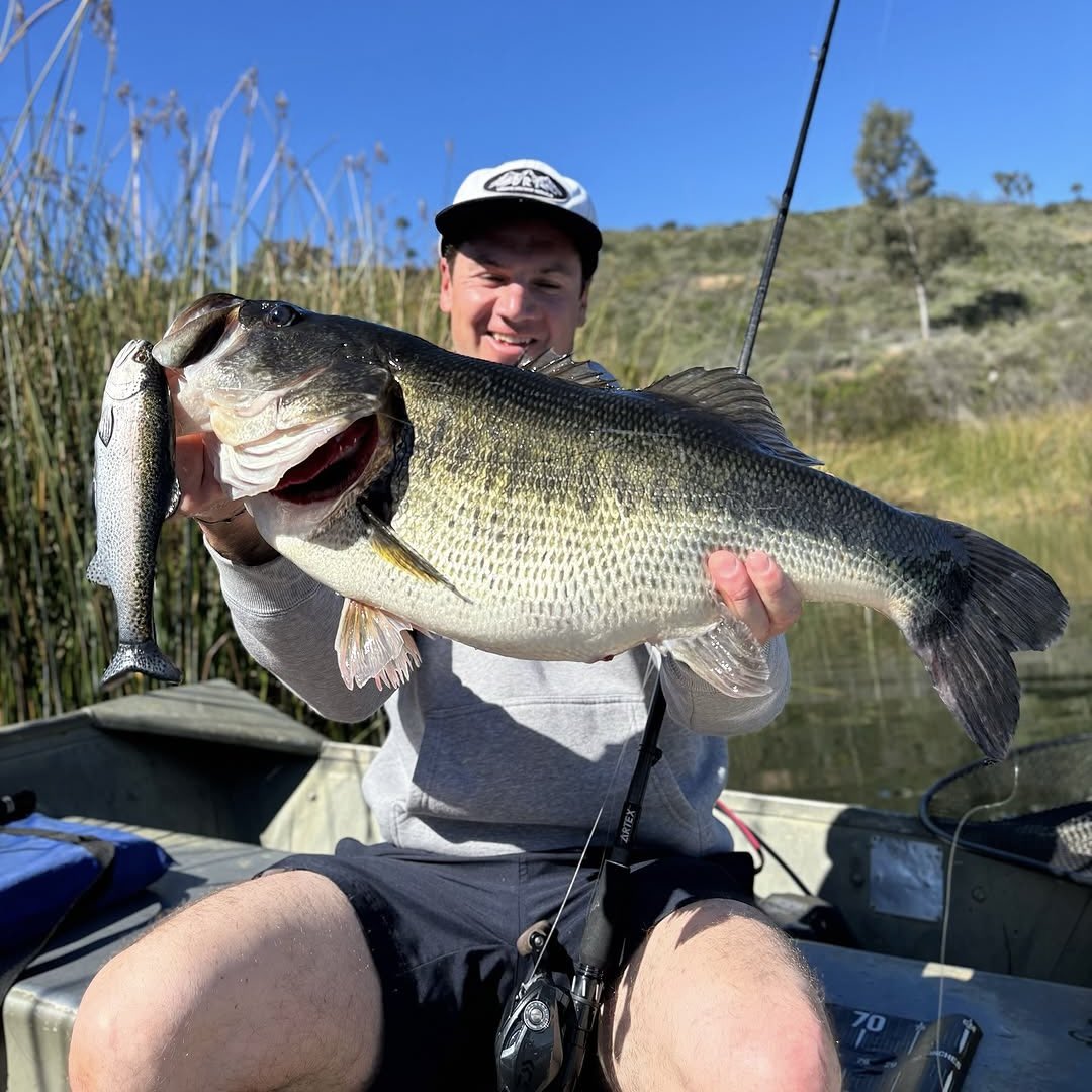 Swimbait Underground tweet media