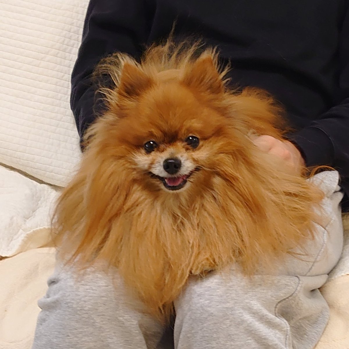 なも🐬 tweet media