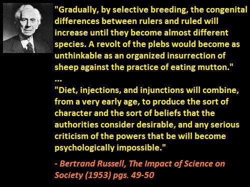 rabbitholebot tweet media