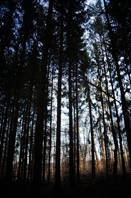 Lynette Brady tweet media