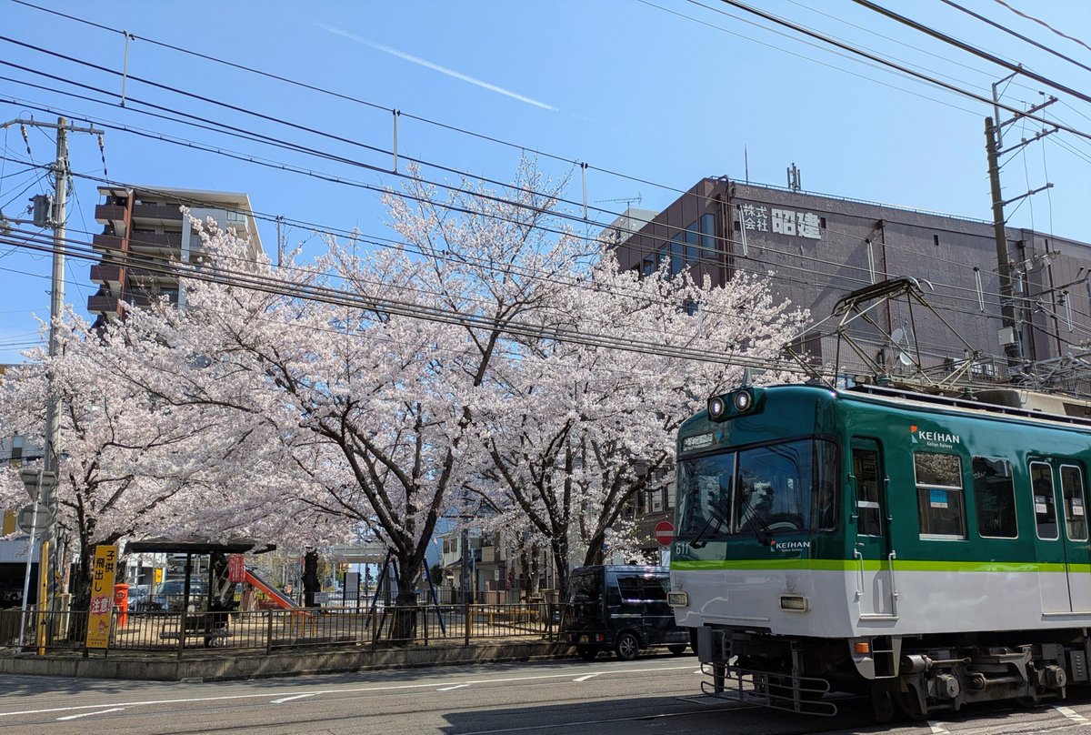 【本館】春ですね🌸
今日はとってもいいお天気です☀
川口公園では桜🌸が満開でした
今年も #京阪電車🚃と一緒に📸
お近くに来られましたら、図書館にもお立ち寄りください🩷