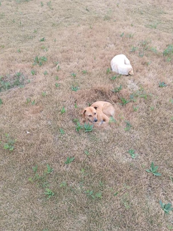 超级馍馍（互赞必回互fo💯💯💯） tweet media