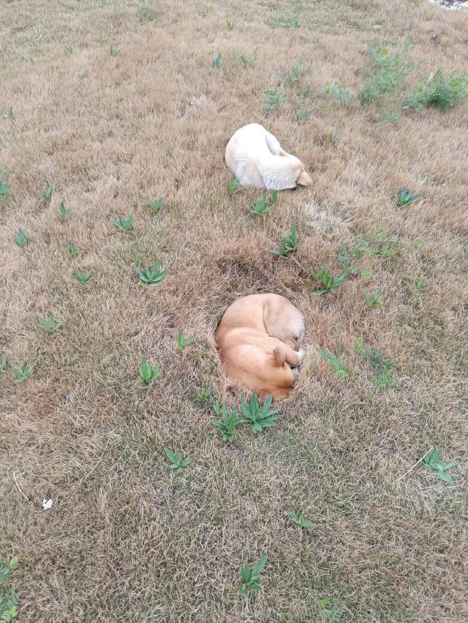 超级馍馍（互赞必回互fo💯💯💯） tweet media