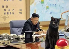 Charlie Lost in the Woods 🐦‍⬛⍟🎖 tweet media