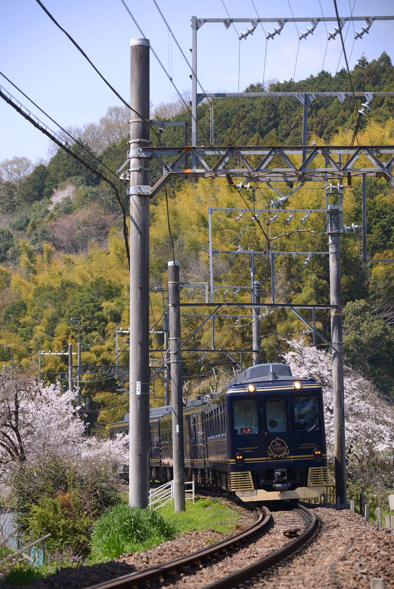 🐻ダッフィーらぶこもしか♂🙋‍♂️🐻 tweet media