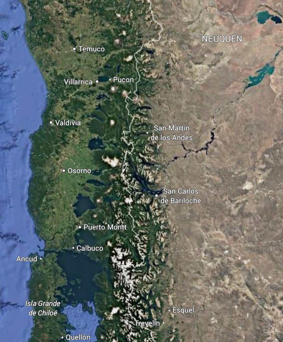 BowTiedMara tweet media