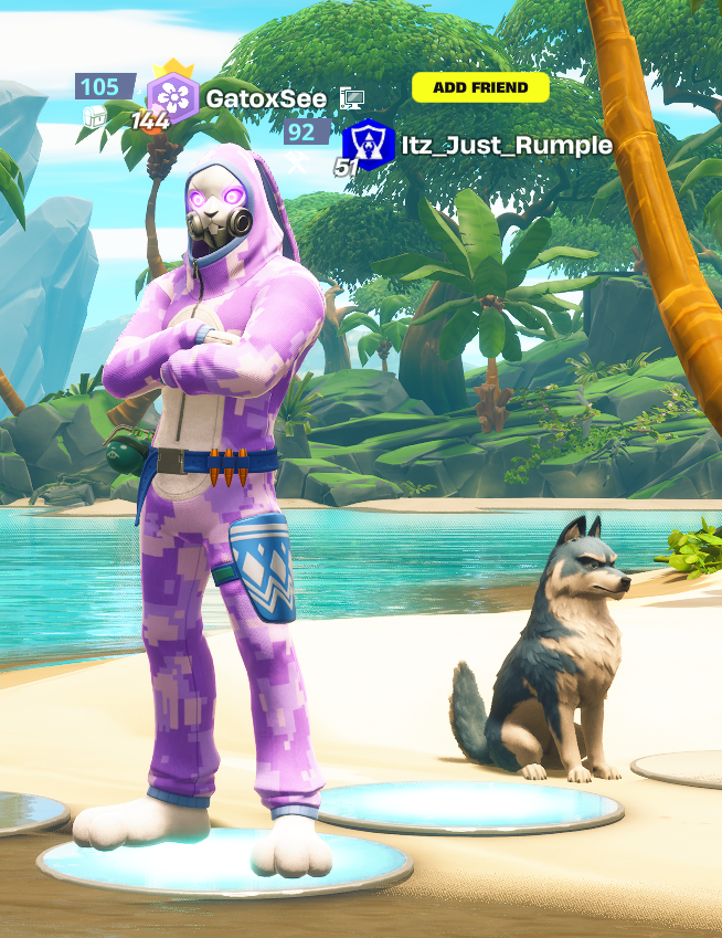 gatosguzzz tweet media