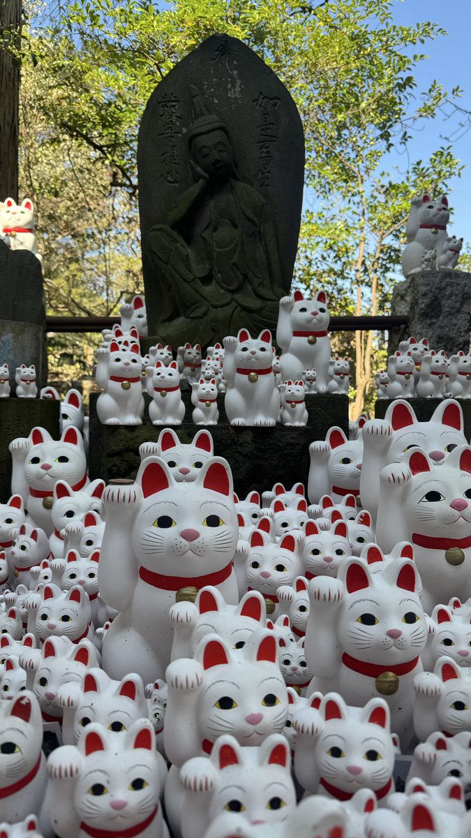 Marce 🗯️ tweet media