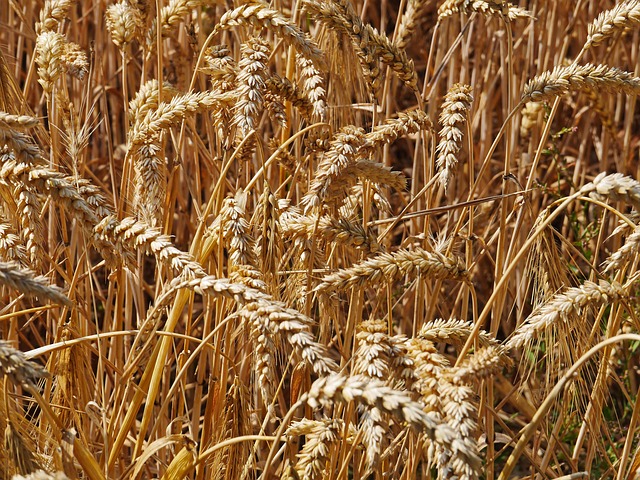 Dominique Durham tweet media