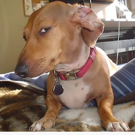 class cloe tweet media