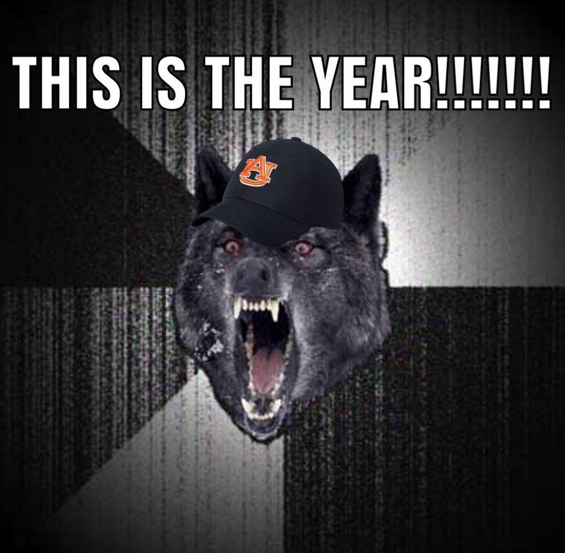 Auburn Memes tweet media