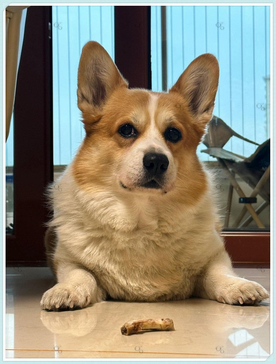 Eugenio Stout tweet media