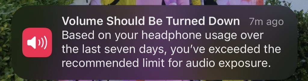 mateo’s bird app page tweet media