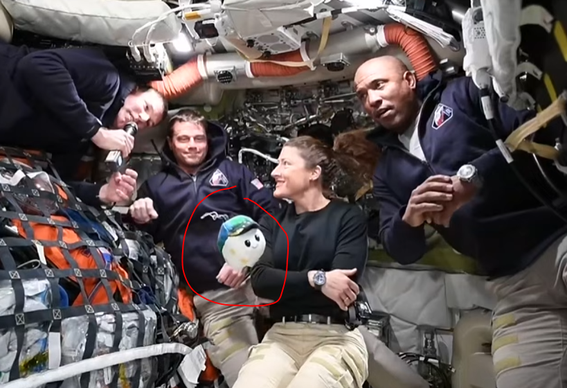 Edda Hengist 🐴📚 tweet media