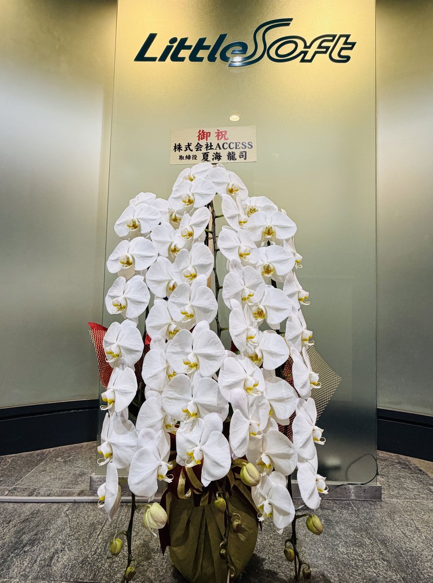 リトルソフト株式会社 tweet media