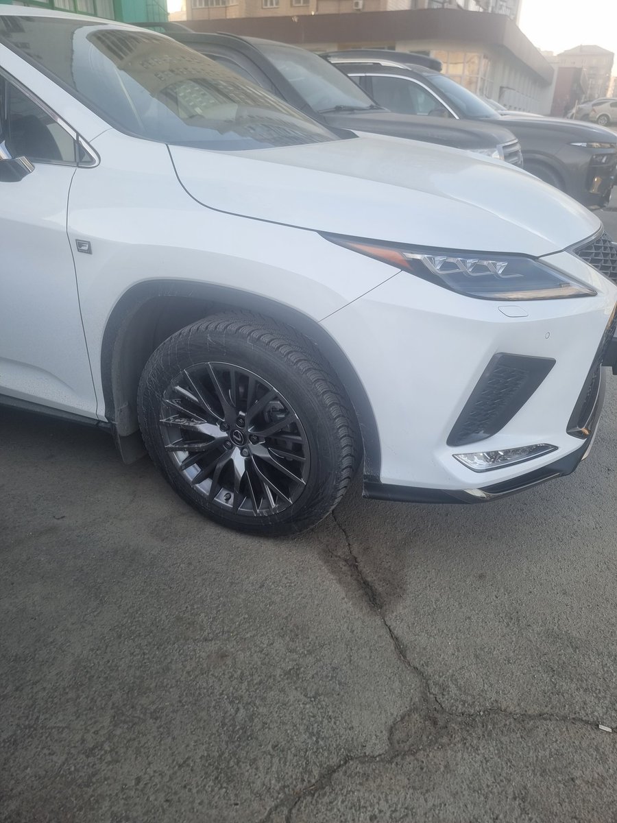 устрицавтрамвае tweet media