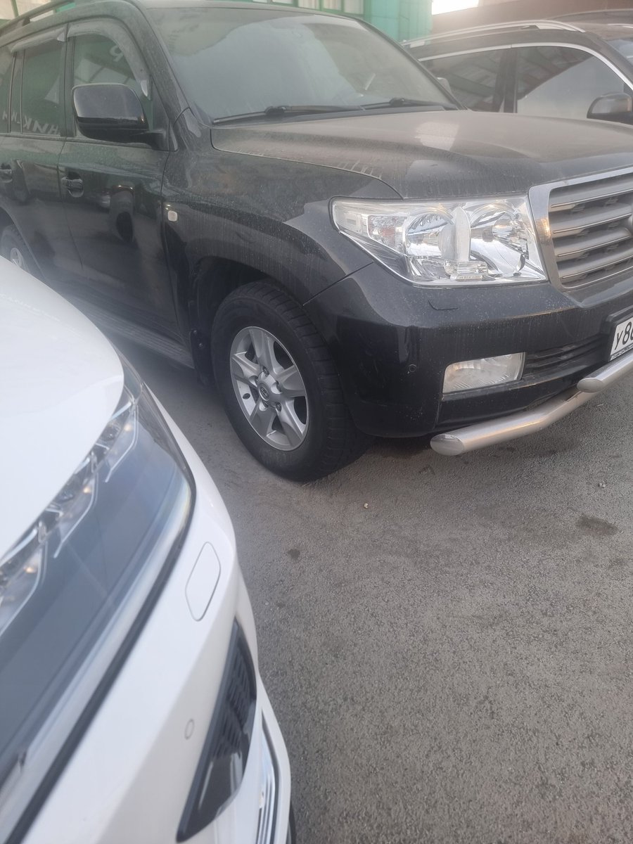 устрицавтрамвае tweet media