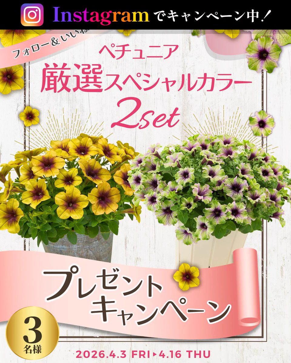 タネのタキイ通販🍅（公式） (@shoptakii) / X