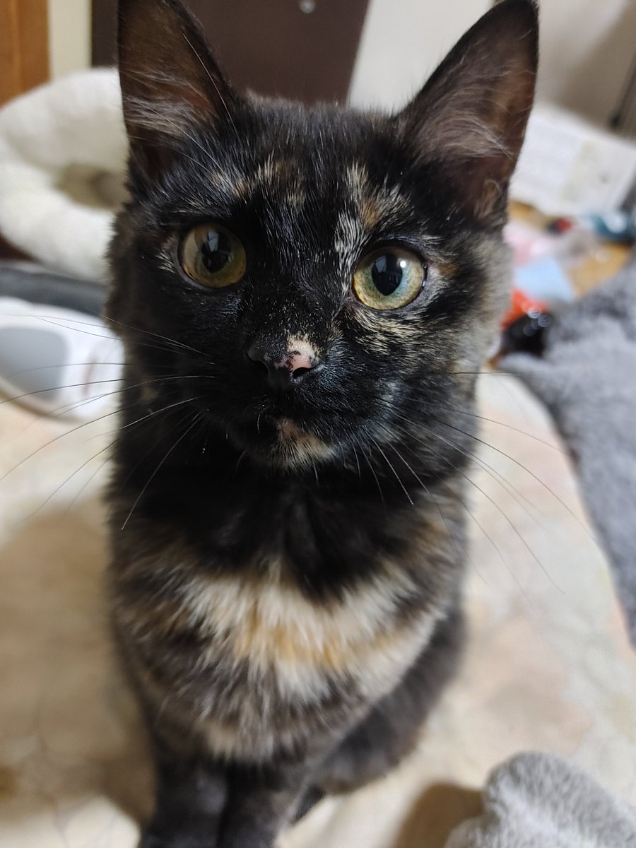 たじたじ@さっちゃん可愛い世界一 tweet media