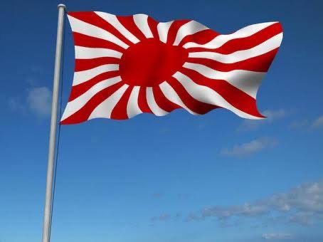 流星 🇯🇵®️New 4lling Star 🇯🇵 tweet media