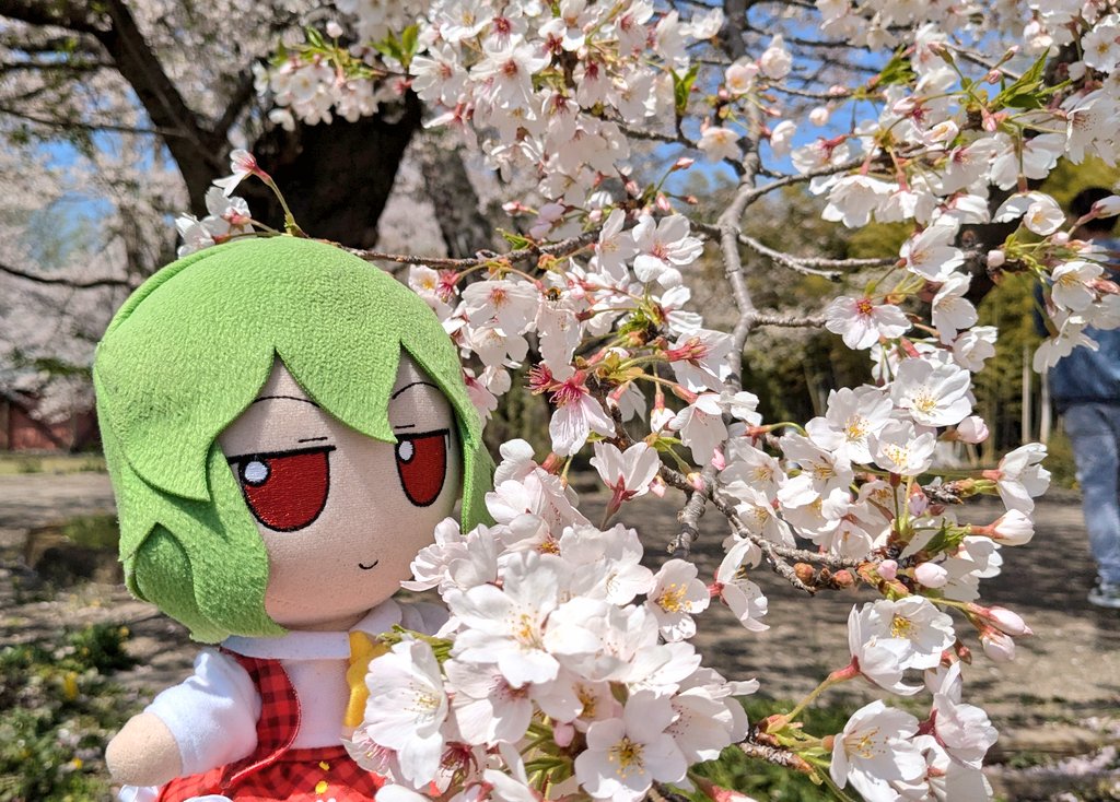 赤束子 tweet media