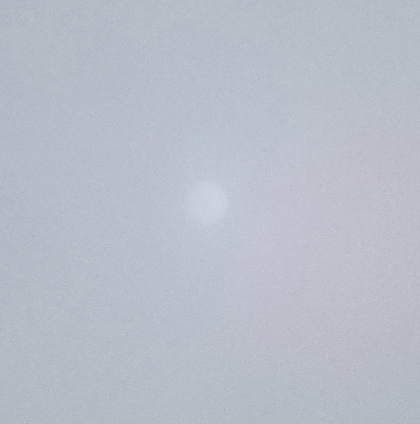 Jesse Lynn♥️ tweet media