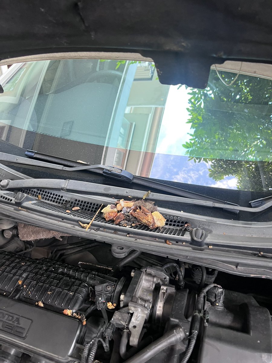 bjs | AI AU AE AO | Sleep for productivity tweet media