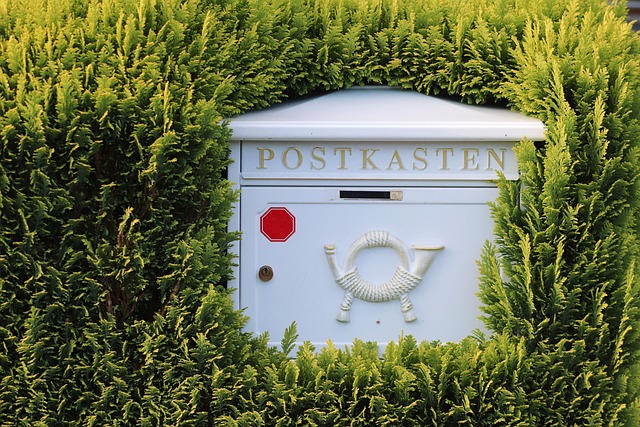 Scott Gustman tweet media