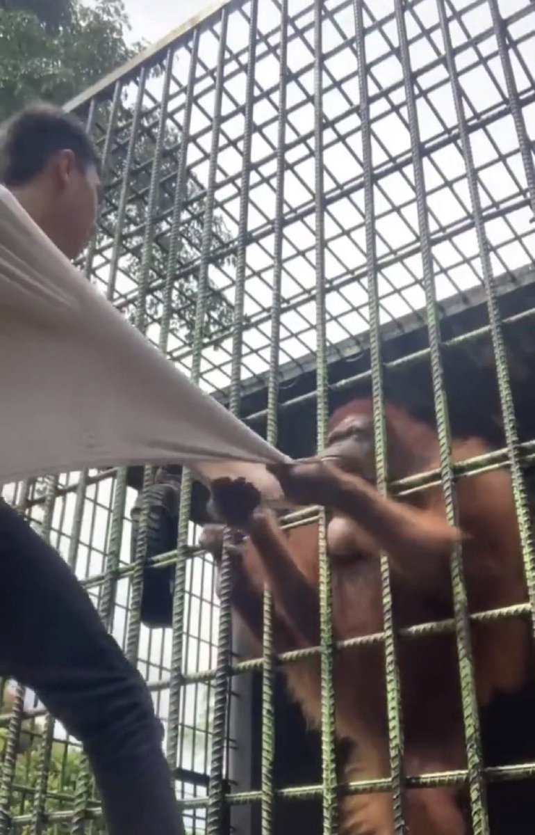 G A B Y ⁷ / ⊙⊝⊜ tweet media