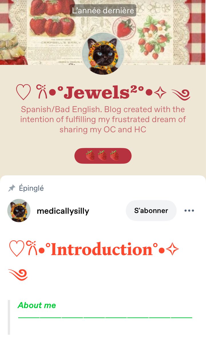 sionainn 🪼 regular yankee doodle dandy tweet media