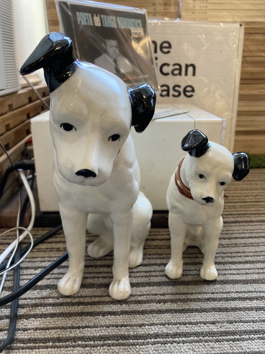 sawatokyokosho's tweet image. 開店してます☀️🌸

お店の２階には、古い雑誌も置いています。
戦前に発行された、海外の映画雑誌もありますよ🎞️📽️🍿
この色褪せた感じが堪りません😆

因みに店内で２階で流れている音楽CDは、購入いただけますので、気に入ったらお声掛けください👂🎵🐩

#雑誌 #映画 #ハリウッド #古本 #神保町