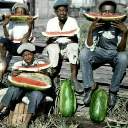 ‘64🌴 tweet media