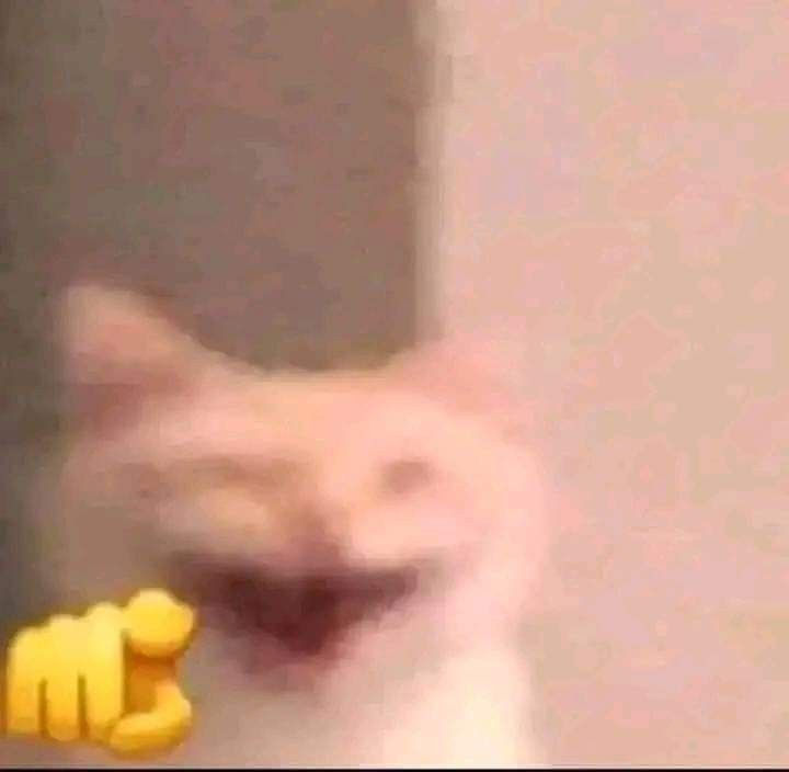 •OnlyChico🜲• tweet media