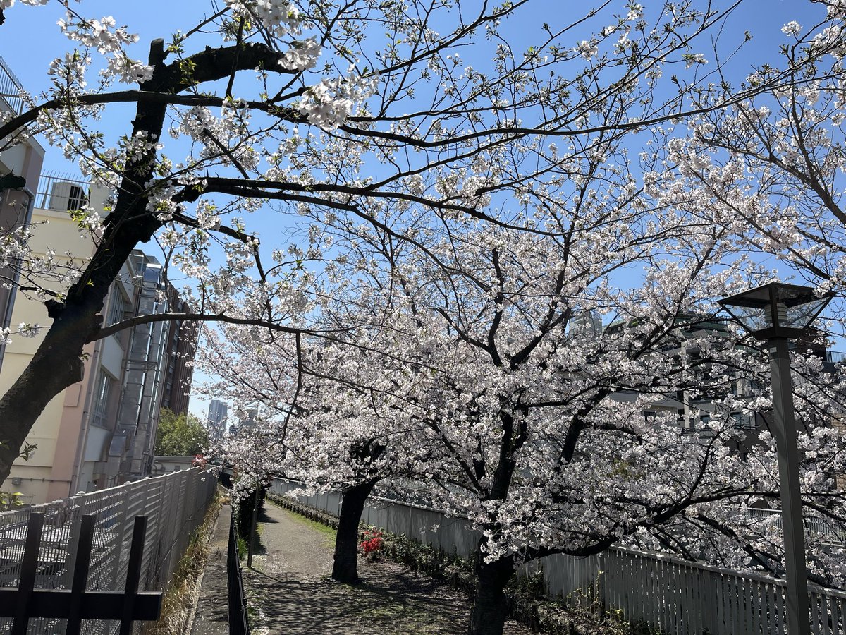 飯島栄治 tweet media