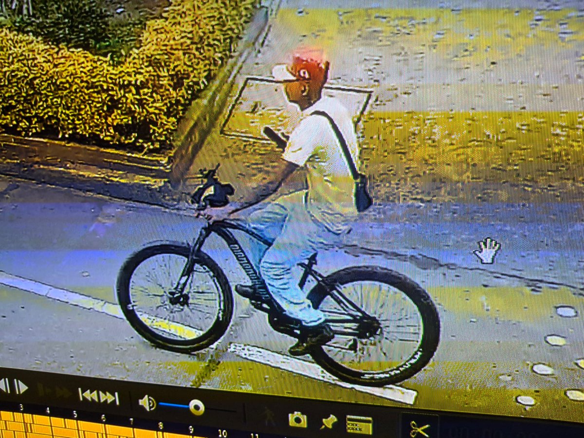 Pasa en Bogotá | Sr Bacca🐮 tweet media