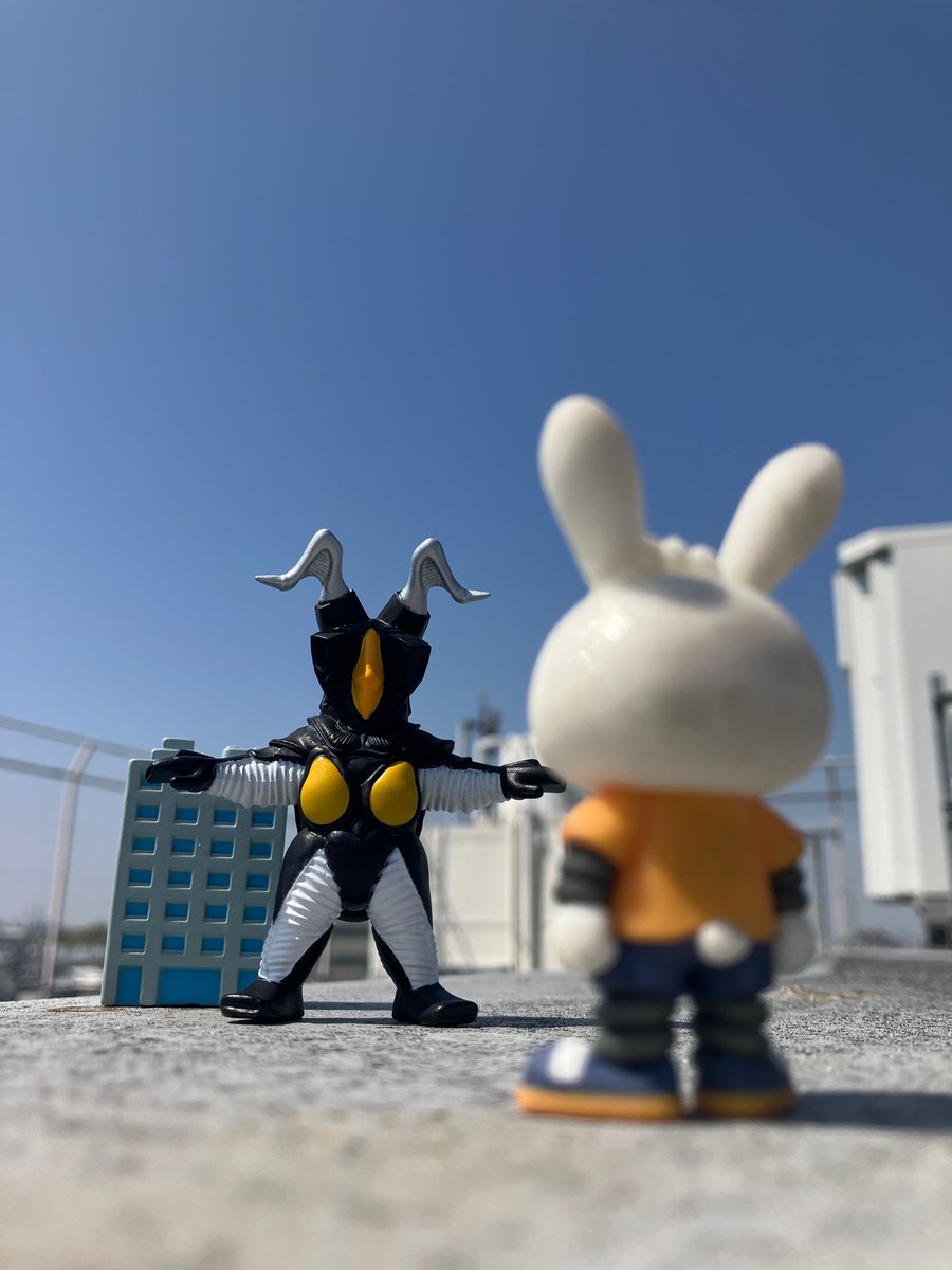 株式会社 光洋【公式】 tweet media