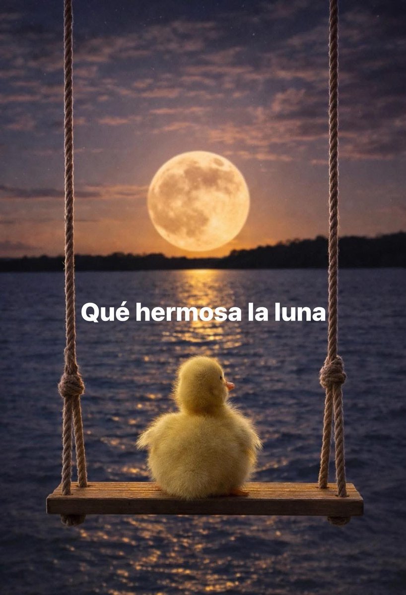 Memes Universidad Nacional tweet media