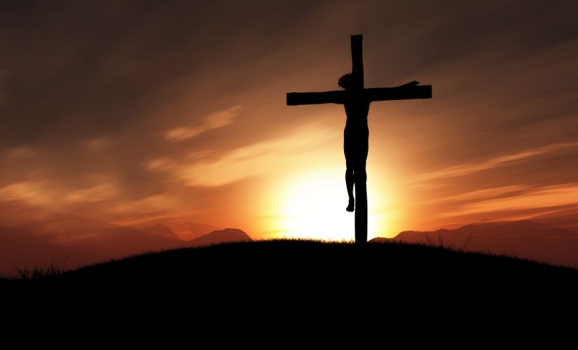 Eduardo Bisotto🇧🇷🇻🇦 tweet media