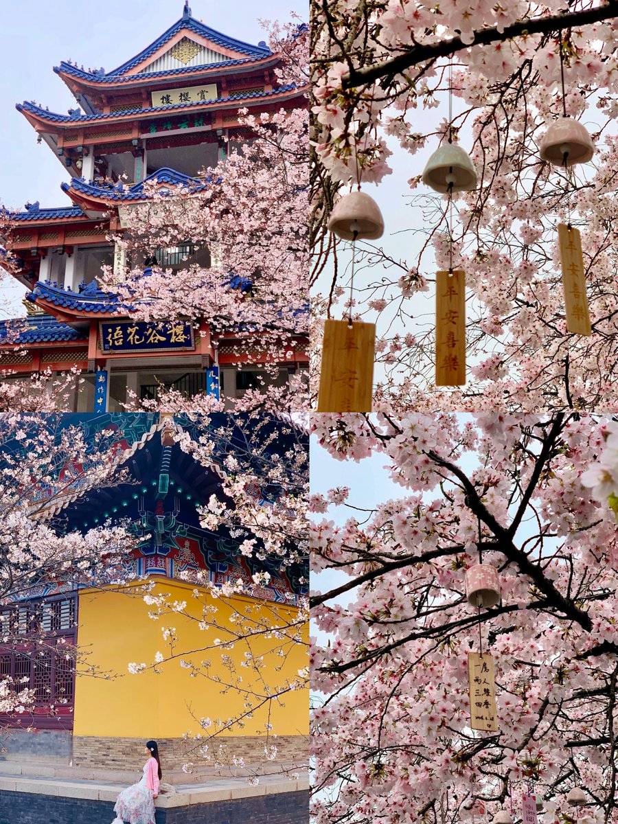 韩美丽🇨🇳（互fo互赞必回） tweet media