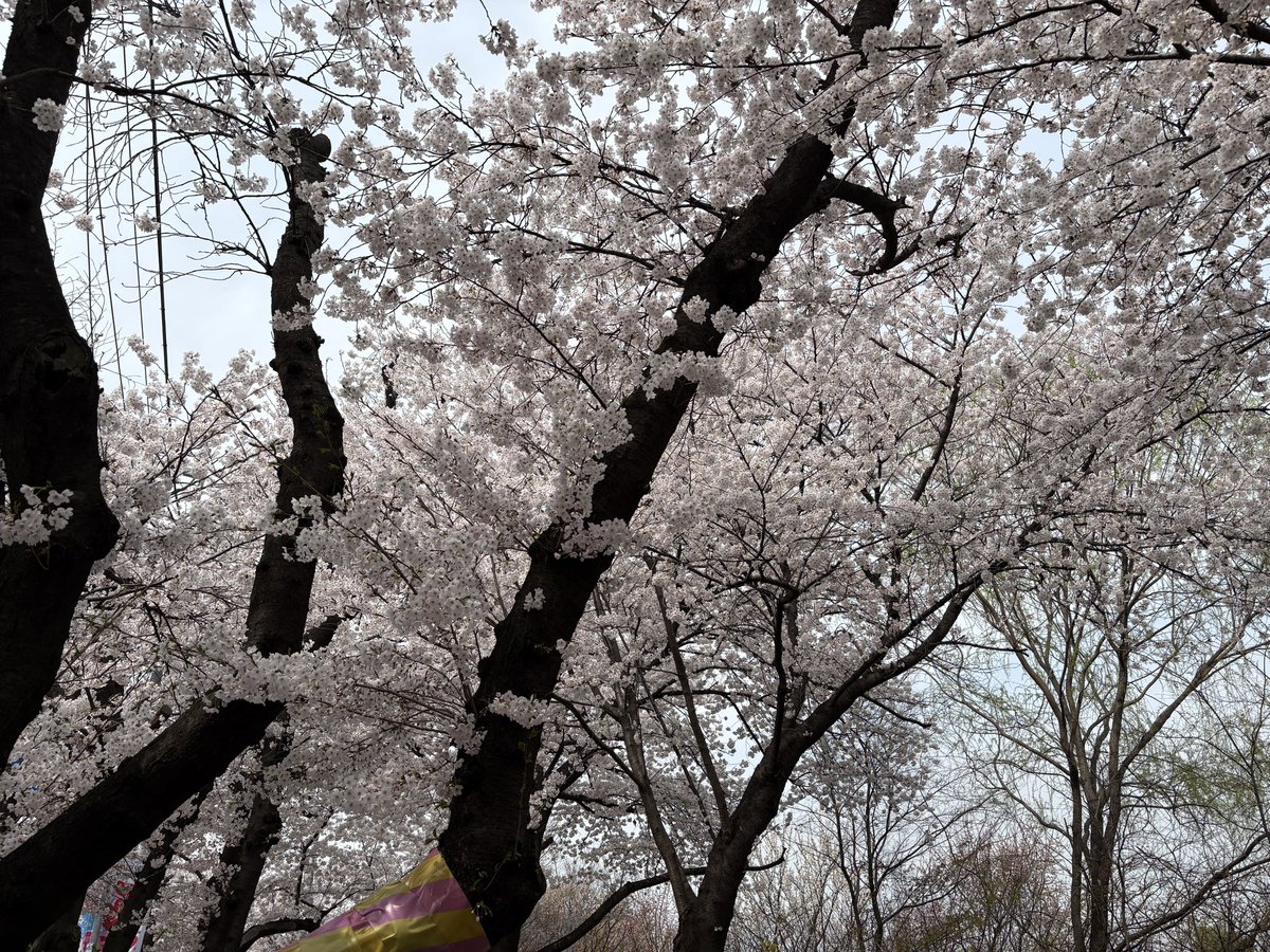 쇼미더스타 SMTS tweet media