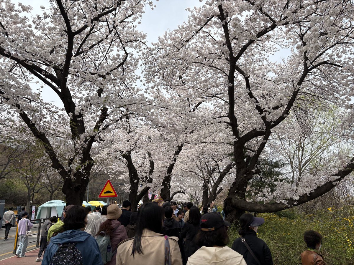 쇼미더스타 SMTS tweet media