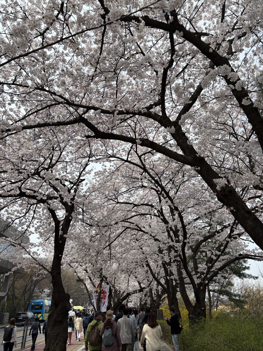 쇼미더스타 SMTS tweet media